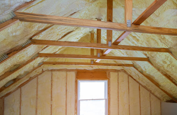 Best Types of Insulation in Princeville, HI