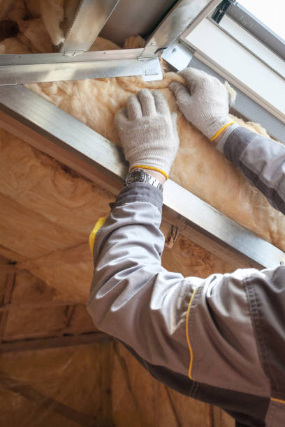 Best Residential Insulation in Princeville, HI