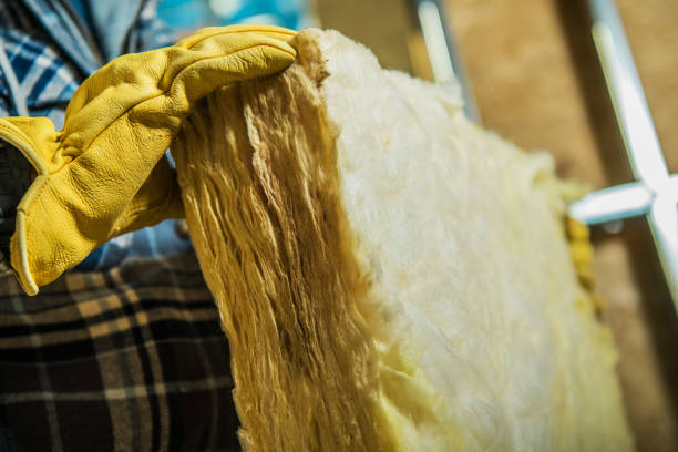 Professional Insulation Contractor in HI