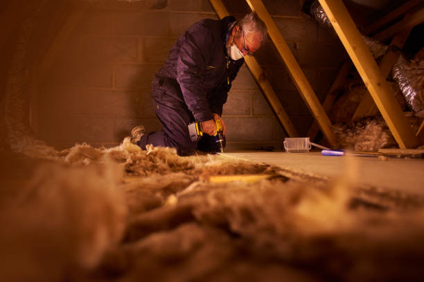 Best Insulation for Specific Applications in Princeville, HI